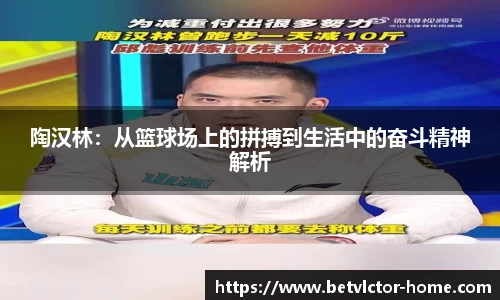 伟博体育app